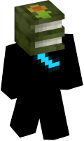 Skinfile
