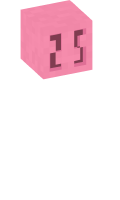 Skinfile
