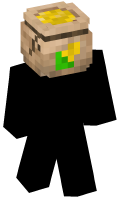 Skinfile