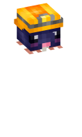 Skinfile