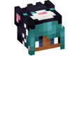 Skinfile