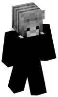 Skinfile
