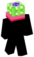 Skinfile
