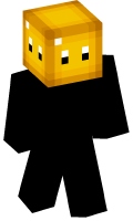Skinfile