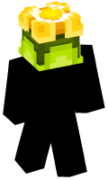 Skinfile
