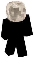 Skinfile