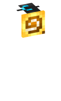 Skinfile