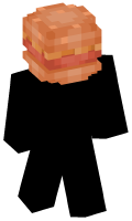 Skinfile