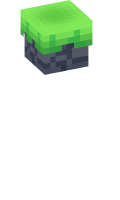 Skinfile