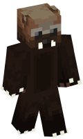 Skinfile