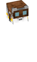 Skinfile
