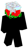 Skinfile