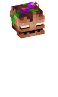 Skinfile