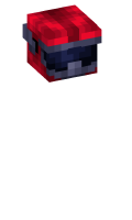 Skinfile