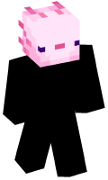 Skinfile