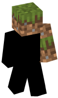 Skinfile