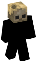 Skinfile