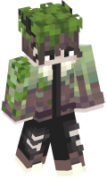 Skinfile