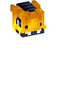 Skinfile