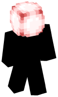 Skinfile