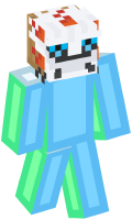 Skinfile