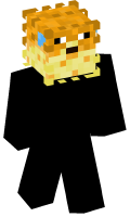 Skinfile