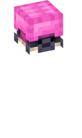 Skinfile