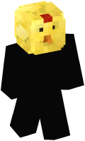 Skinfile