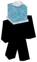 Skinfile