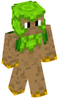 Skinfile