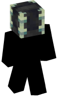 Skinfile