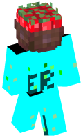 Skinfile