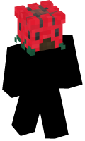 Skinfile