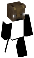Skinfile