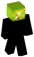 Skinfile