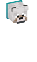 Skinfile