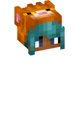 Skinfile