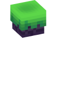Skinfile