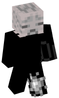 Skinfile