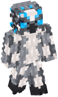 Skinfile