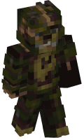 Skinfile