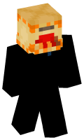 Skinfile