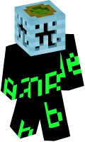 Skinfile