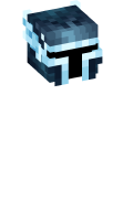 Skinfile