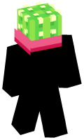 Skinfile