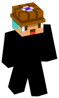 Skinfile