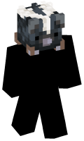 Skinfile
