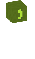 Skinfile