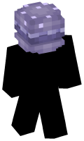 Skinfile
