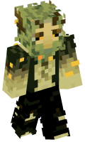 Skinfile